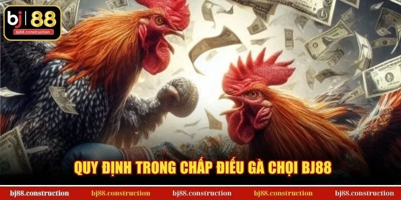 Quy định trong chấp điếu Gà Chọi BJ88