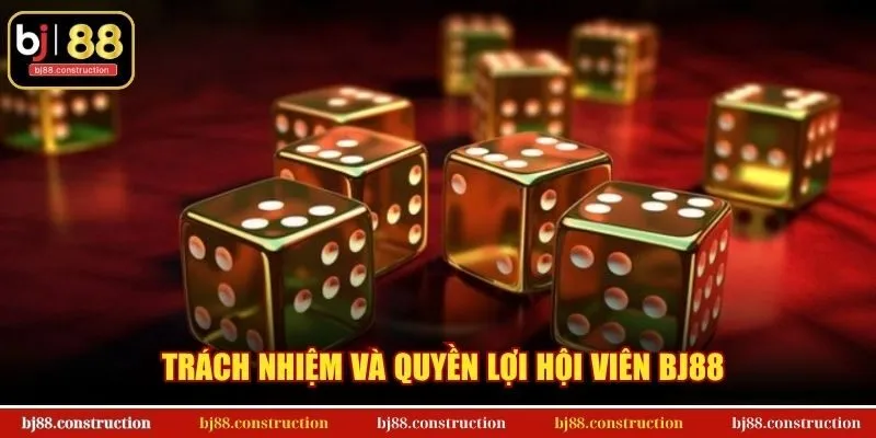 Điều Khoản Điều Kiện BJ88 2 Trách nhiệm và quyền lợi hội viên BJ88